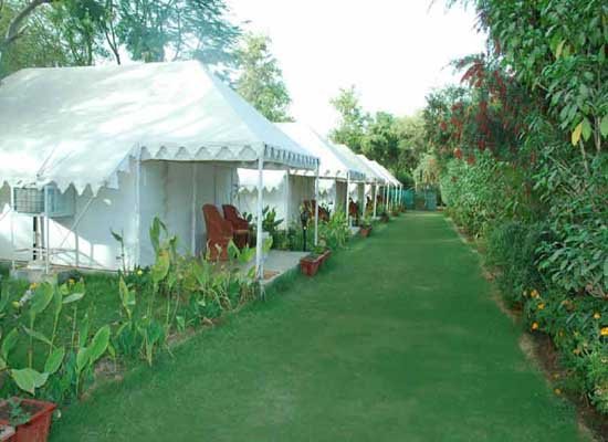 Adventure Camp in Ranthambore