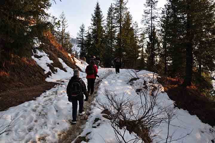 Trekking