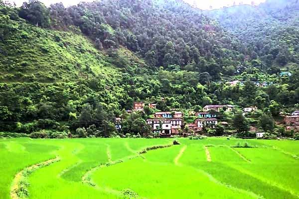 Camps in Chaukhutia