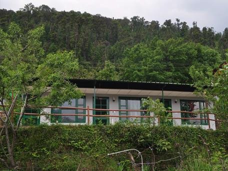 himalayan-eco-Auli